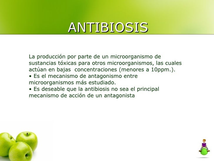 antibiosis definicion